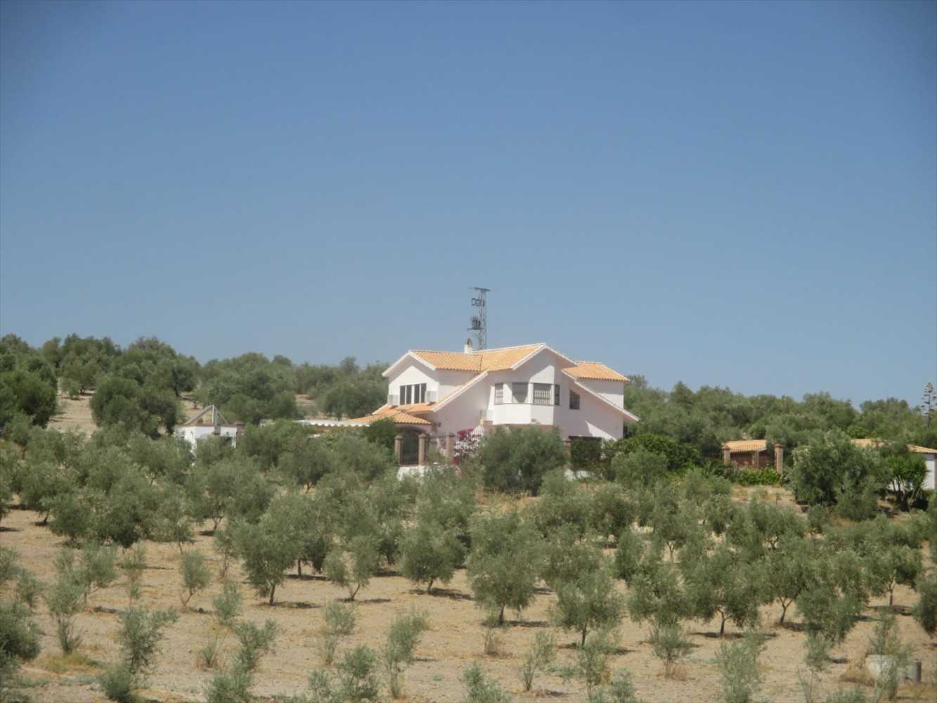 Будинок в Olvera, Andalusia 10042563