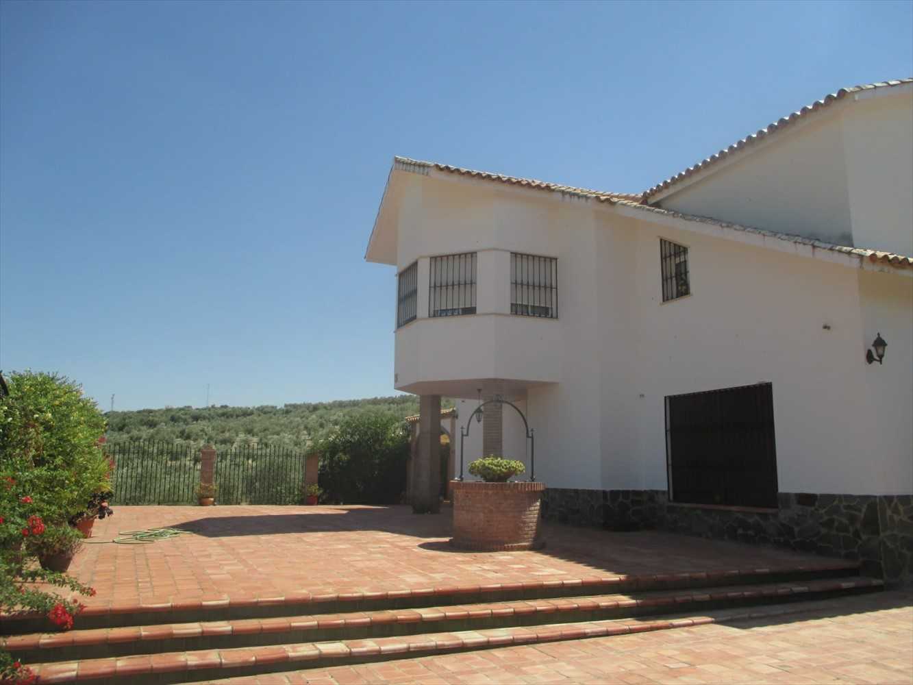 بيت في Olvera, Andalusia 10042563