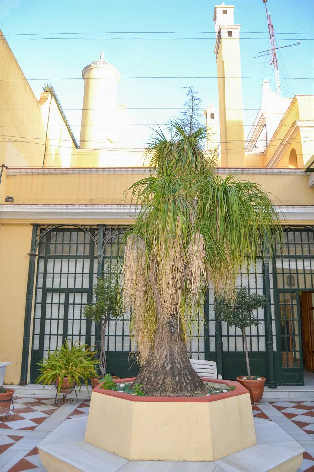 Huis in Puerto Santa Maria, Costa Luz 10042571