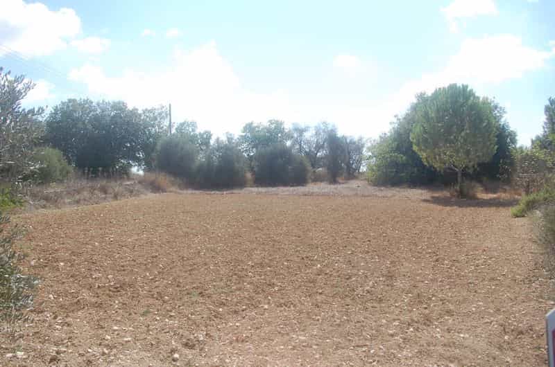 Land in Tala, Pafos 10042617