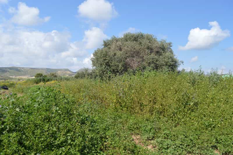 Tanah dalam Zygi, Larnaka 10043498