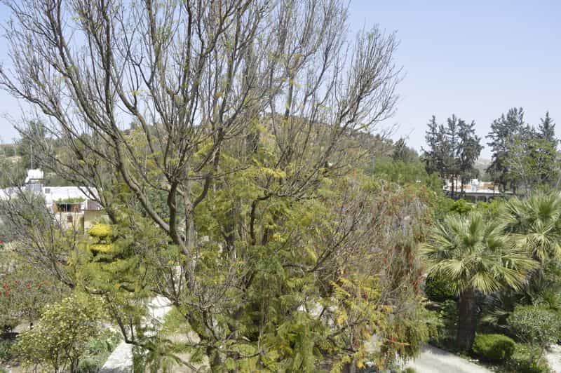 House in Psevdas, Larnaca 10044346