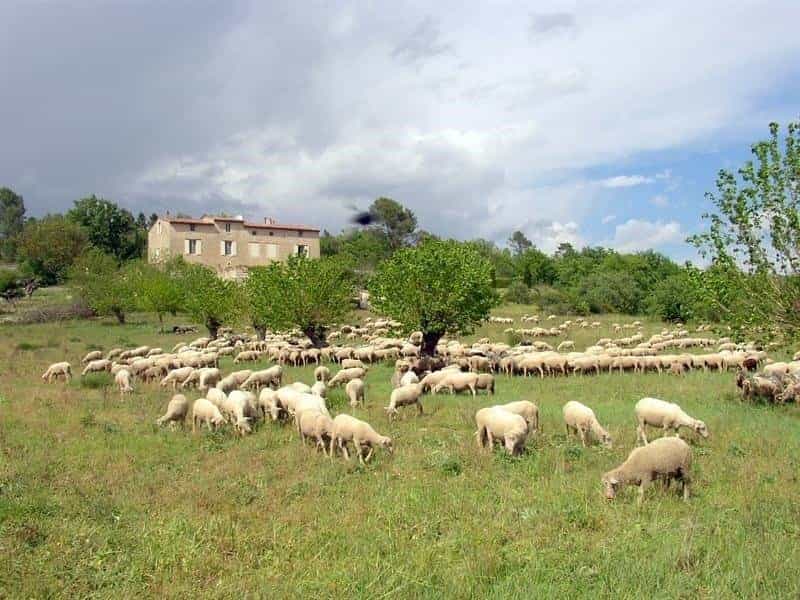 жилой дом в Callian, Provence-Alpes-Cote d'Azur 10044775