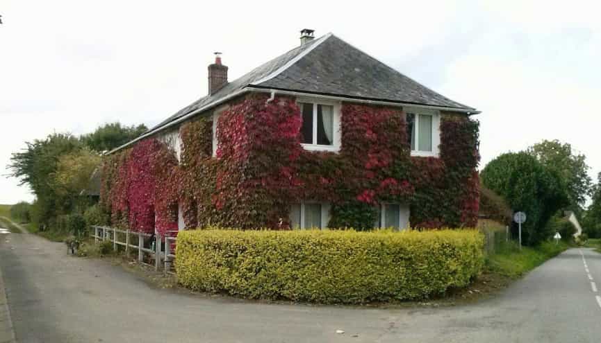 House in Auffay, Normandie 10046554