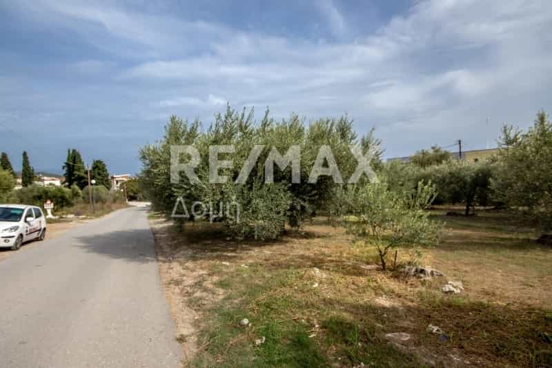 Land in Nea Anchialos, Thessalië 10048263