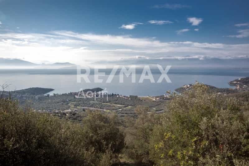 Condominium dans Agios Georgios,  10048598