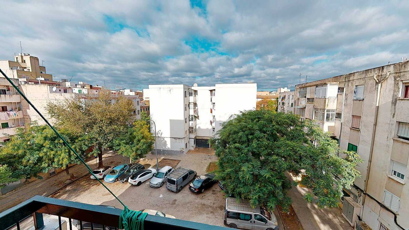 Condominium in Son Gotleu, Mallorca 10052023