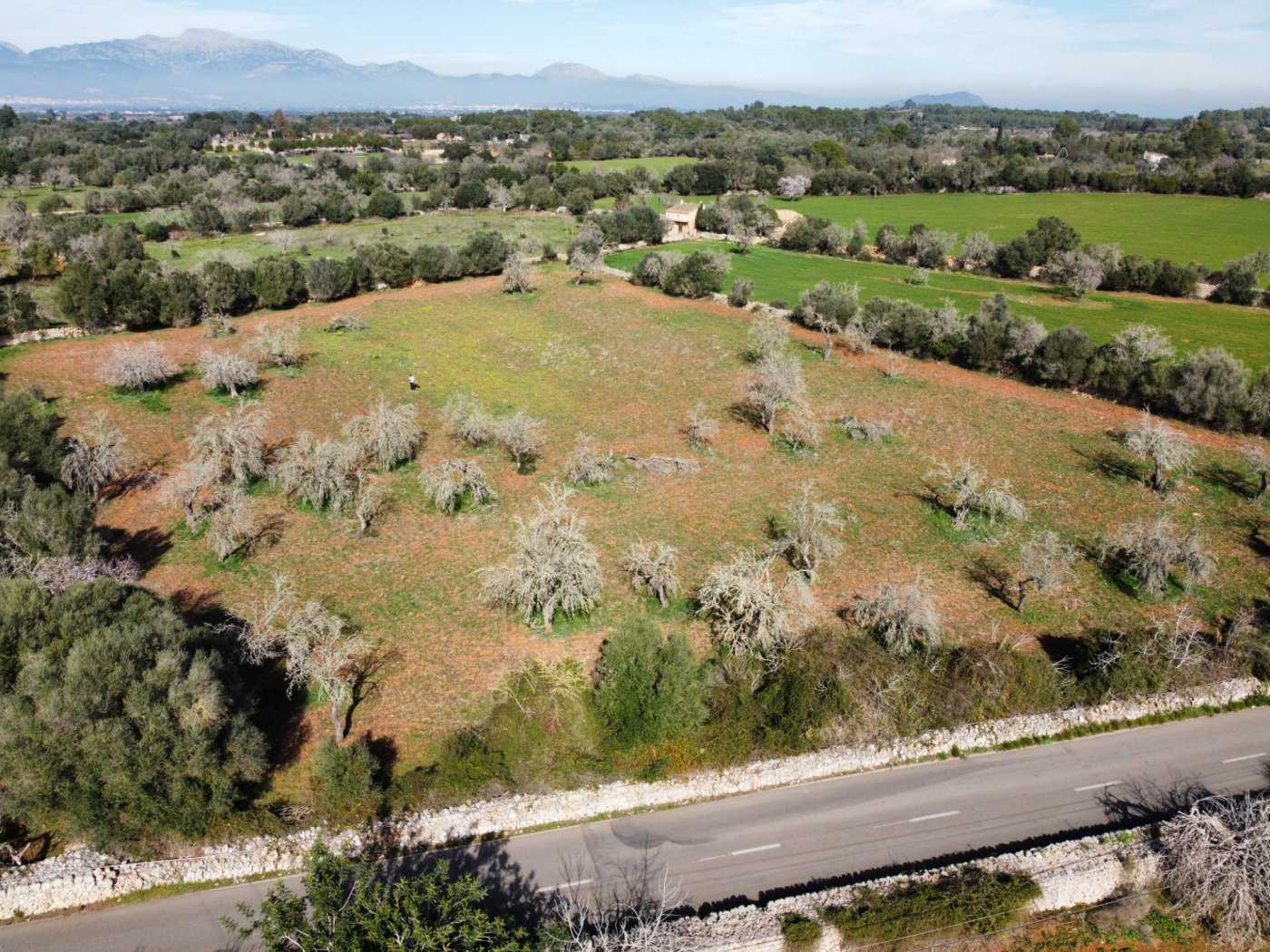 Land in Sancellas, Mallorca 10052029