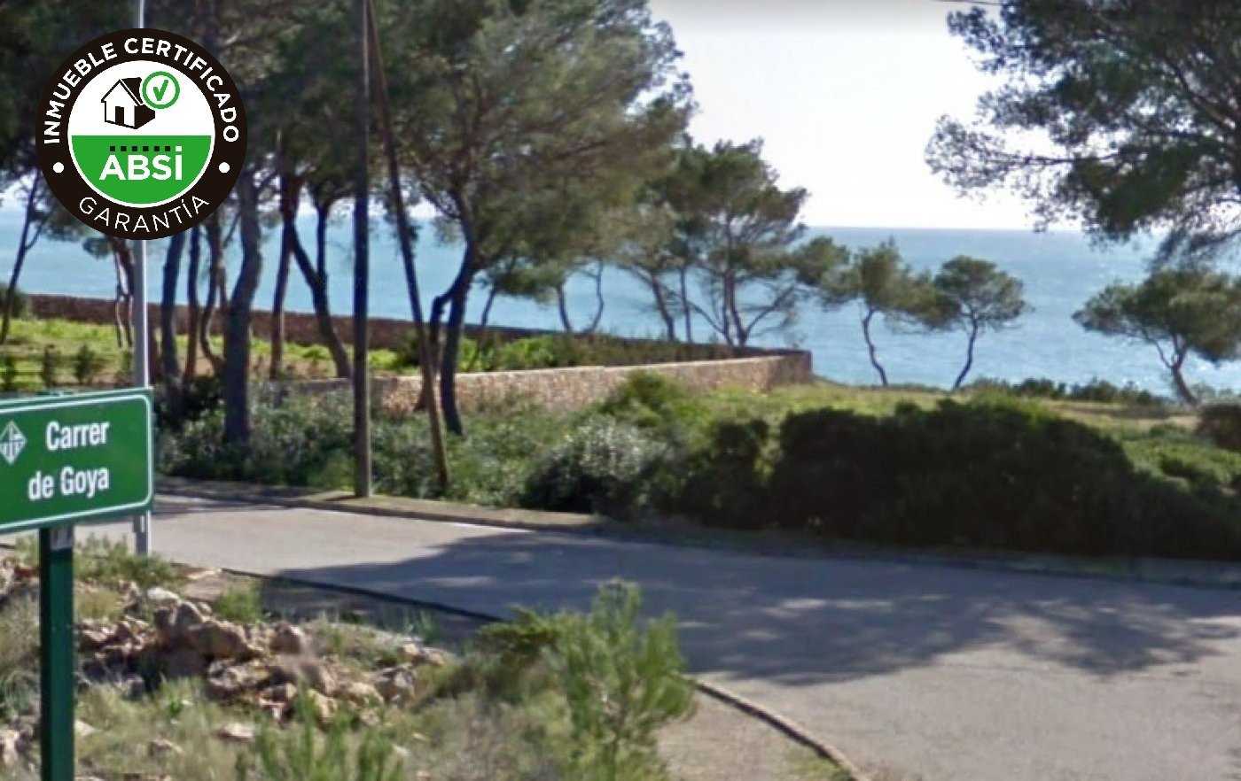 קוֹנדוֹמִינִיוֹן ב Cala Pi-Vallgornera, Mallorca 10052059