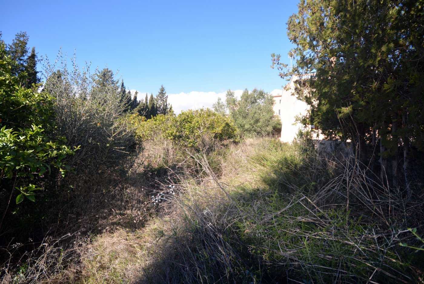 土地 在 Montuiri, Mallorca 10052252