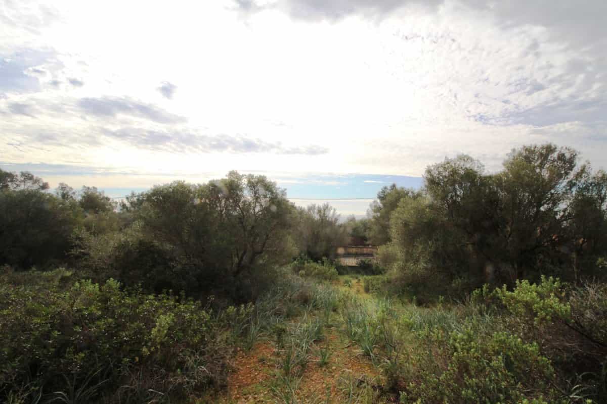 Tierra en Puntiro, Mallorca 10052289