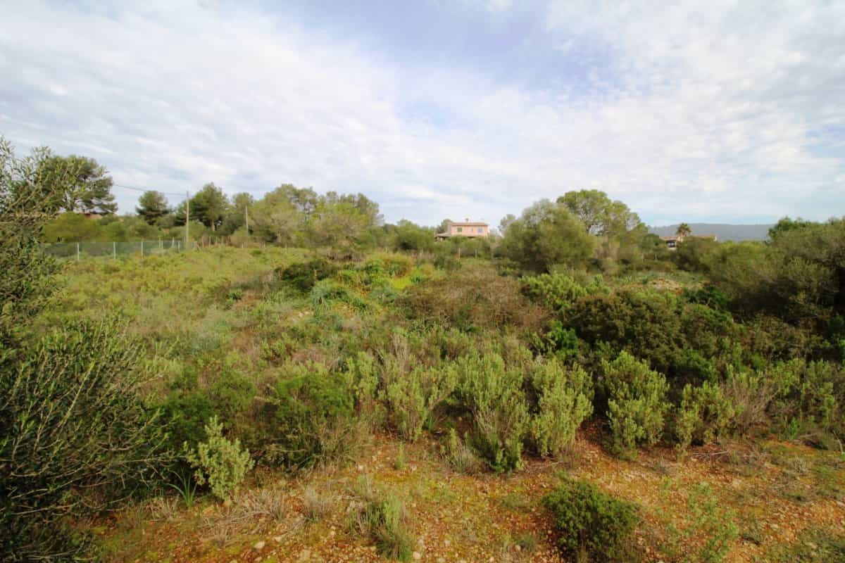 Land in Puntiro, Mallorca 10052289