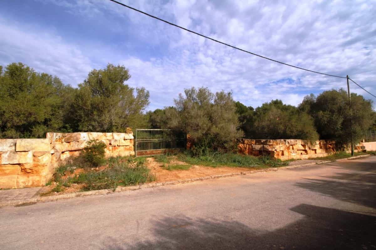 Tanah di Puntiro, Mallorca 10052289