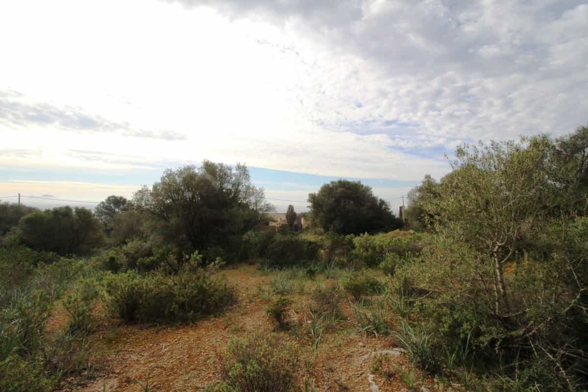 Tanah di Puntiro, Mallorca 10052289
