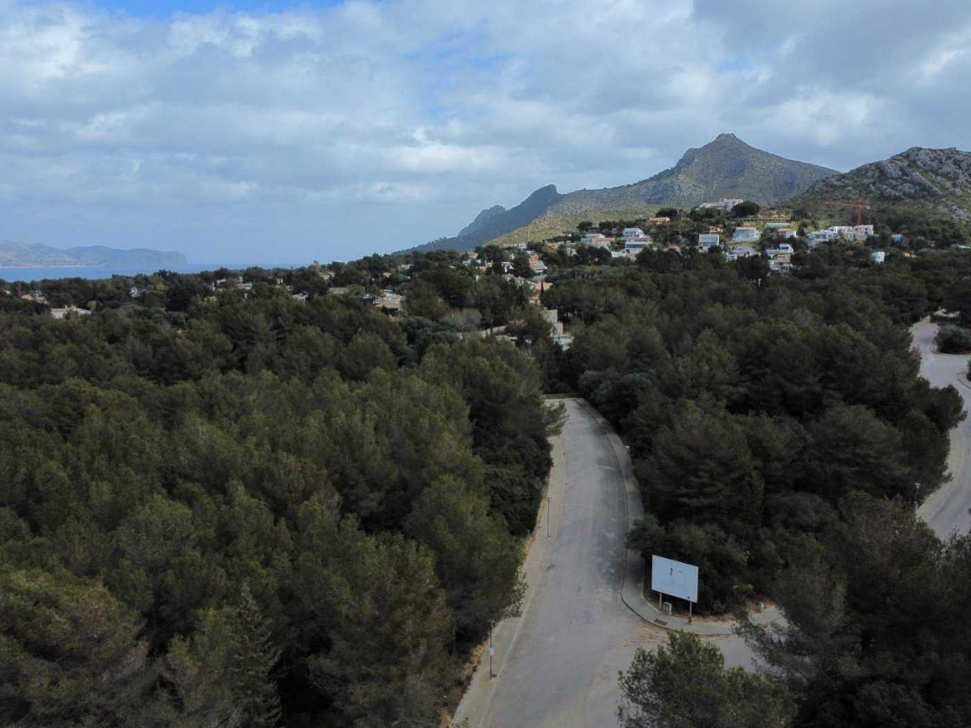 भूमि में Paraiso de Bonaire, Mallorca 10052295