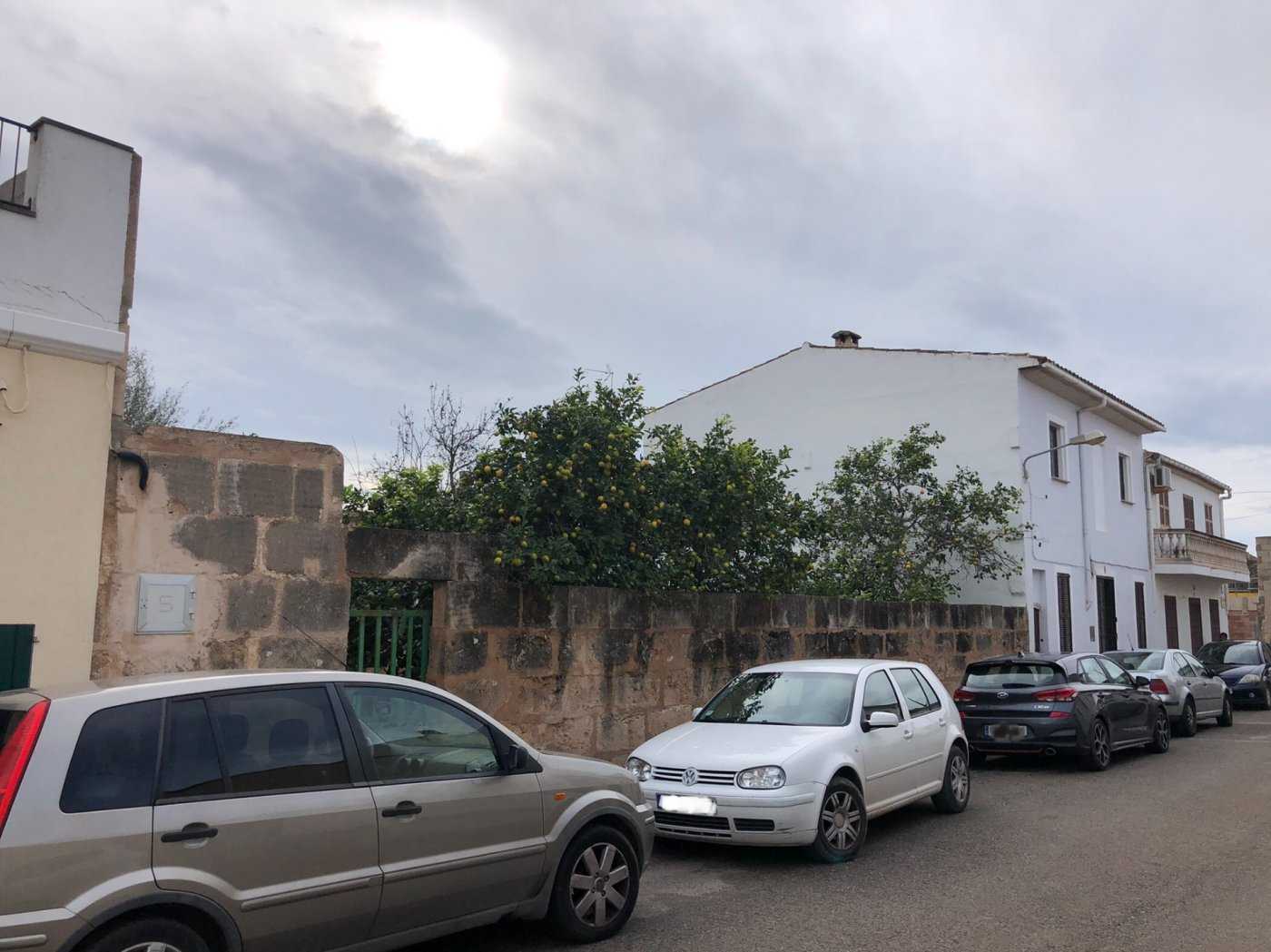 Land in Pueblo, Mallorca 10052332
