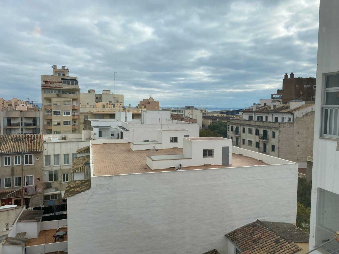 Eigentumswohnung im Centro, Mallorca 10052439