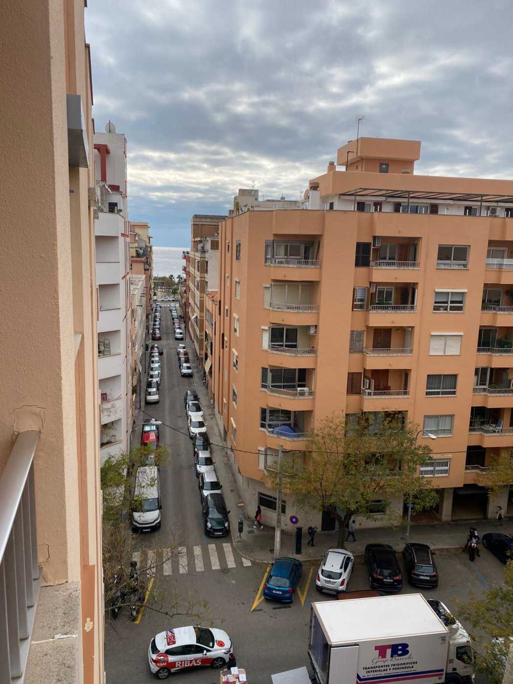 Condominium dans Centro, Mallorca 10052439