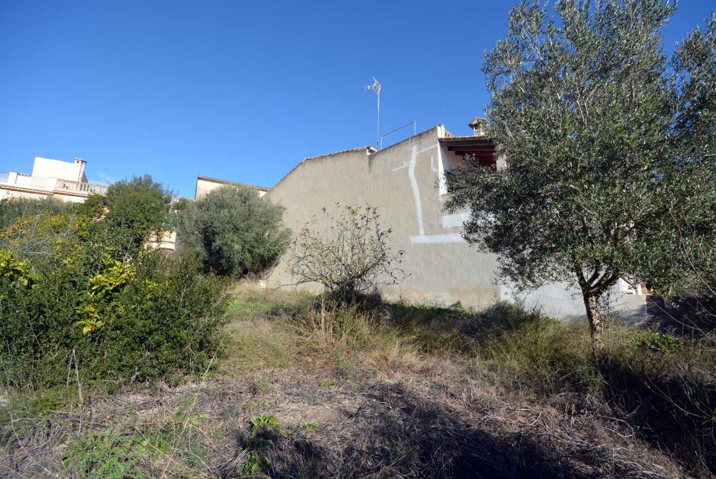 Land in Montuiri, Mallorca 10052484