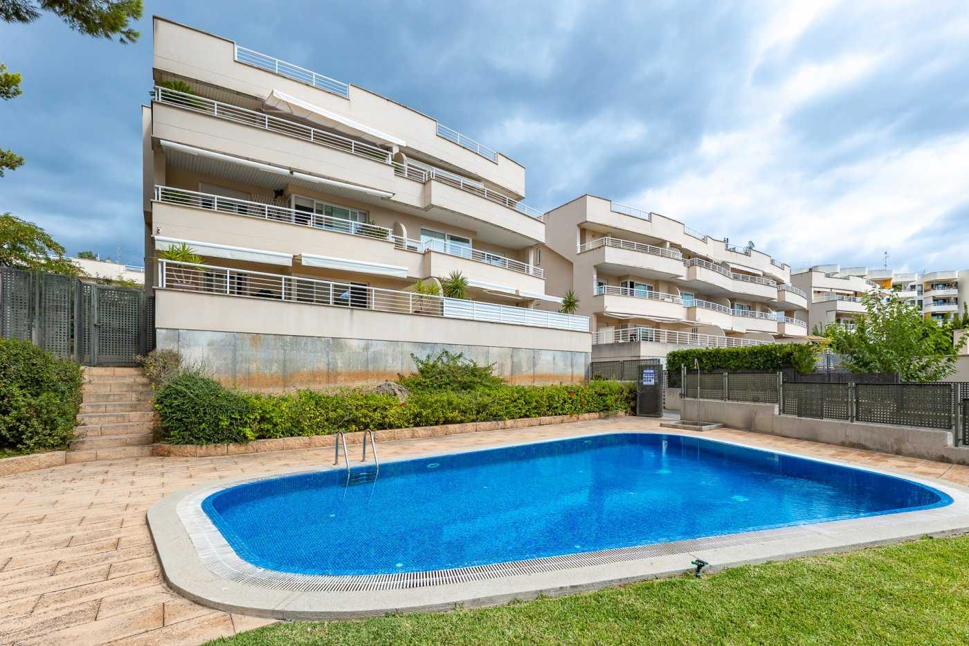 Condominium dans Sant Agusti, Mallorca 10052505