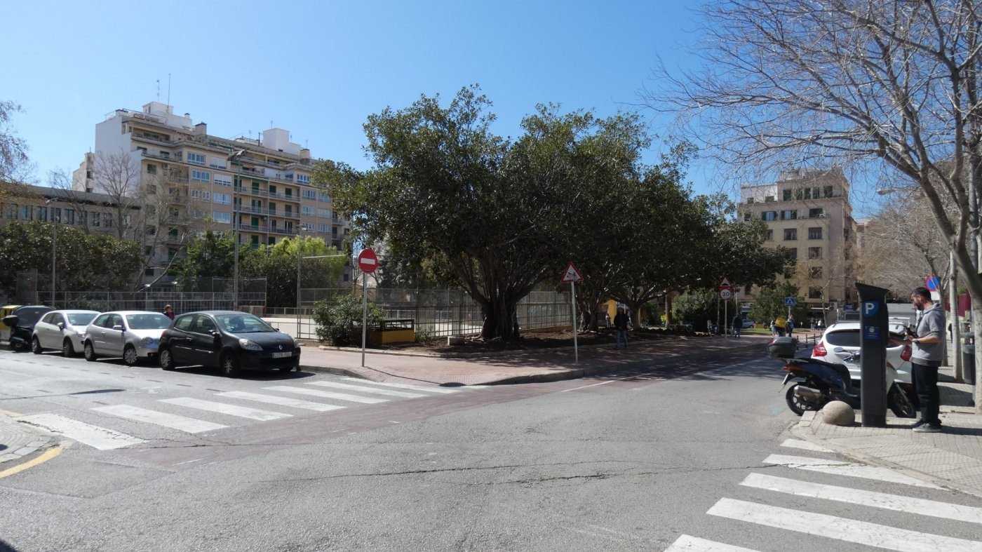 Condominium in Placa Dels Patins, Mallorca 10052529