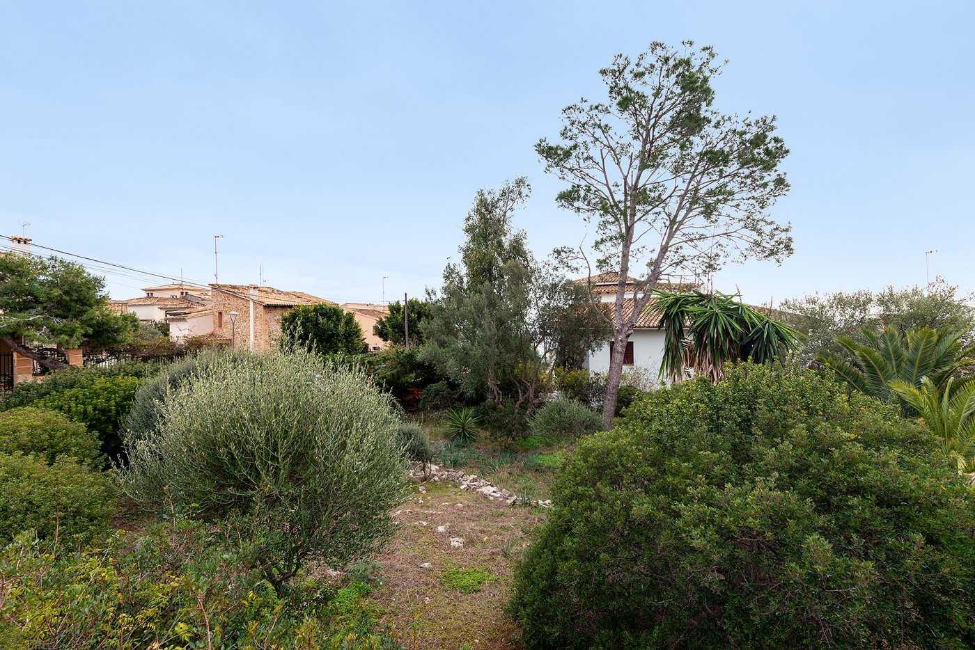 House in Porto Cristo, Mallorca 10052552