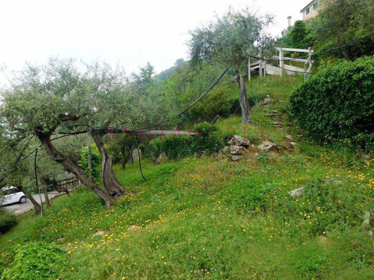 Dom w Zoagli, Liguria 10054345