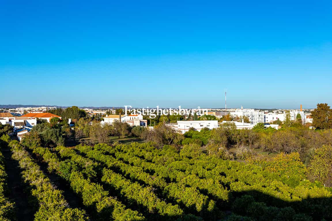 Osakehuoneisto sisään Tavira, Algarve 10055645