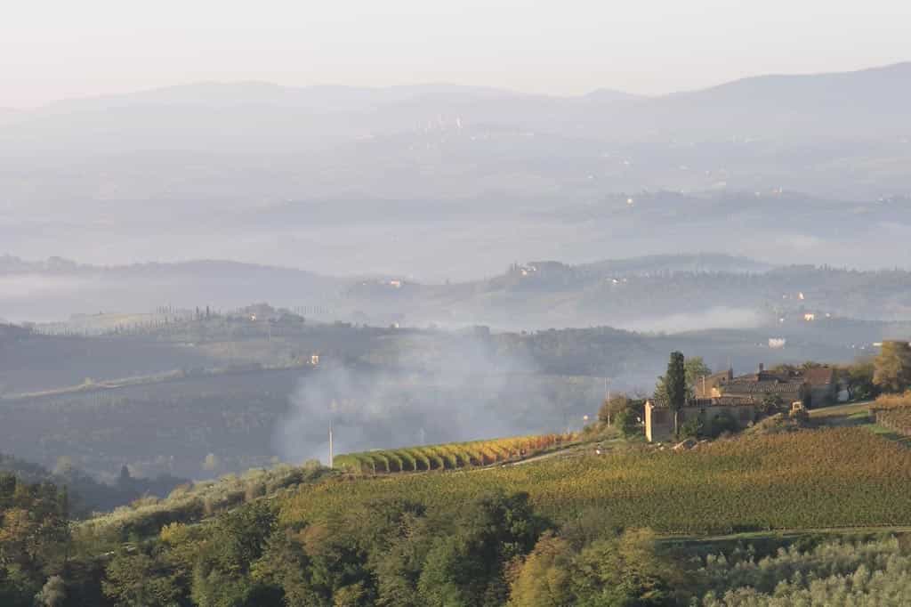 Andet i Certaldo, Florence Province 10058174