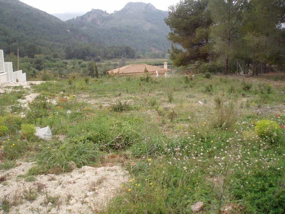Tanah dalam Tormos, Valencia 10059377