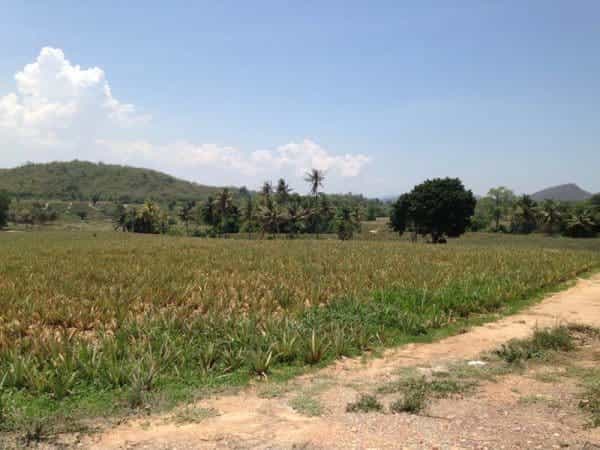 Land in Hua Hin, Prachuap Khiri Khan 10066263