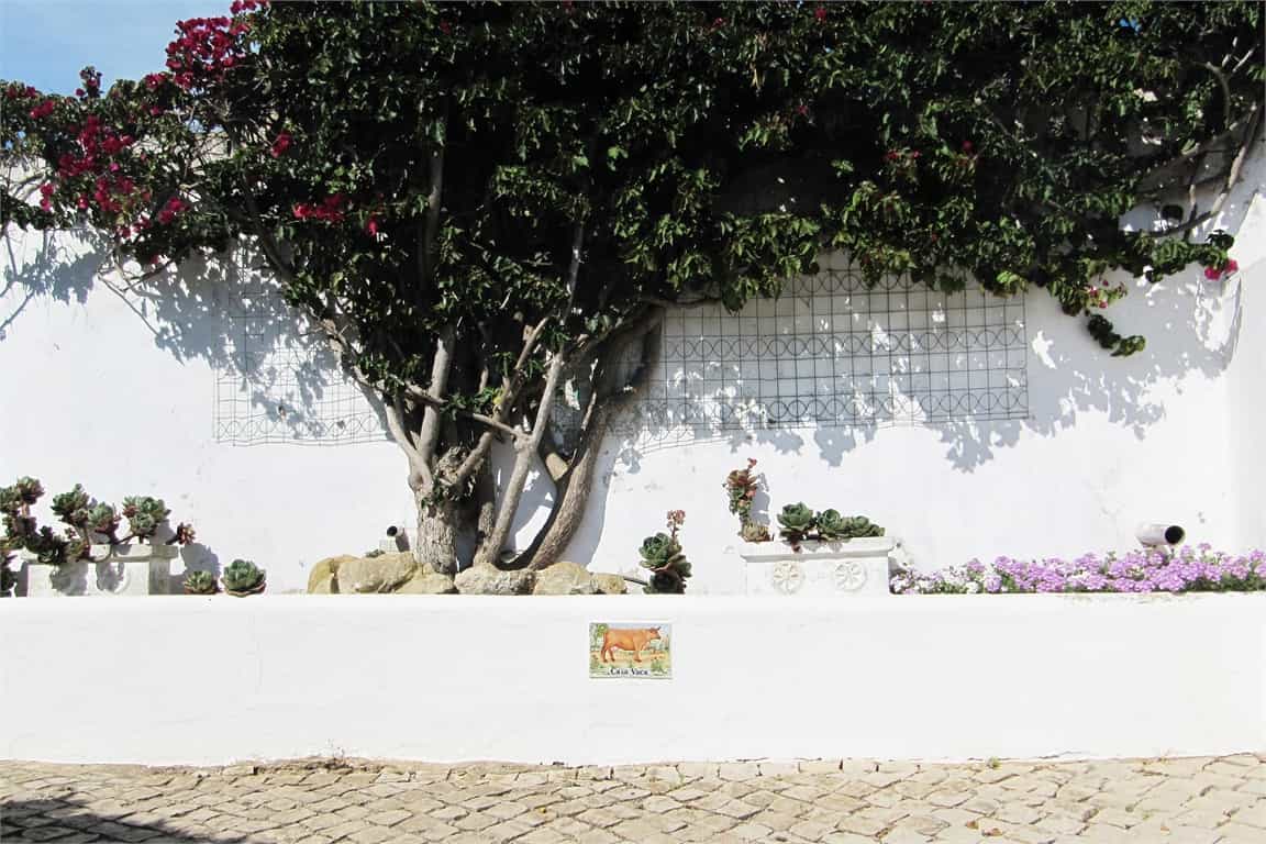 عمارات في Lagos, Algarve 10066657