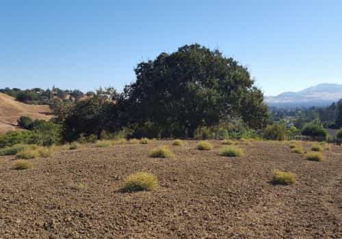 Jord i Alhambra-dalen, Californien 10068716