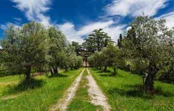 rumah dalam La Vergine, Tuscany 10069428