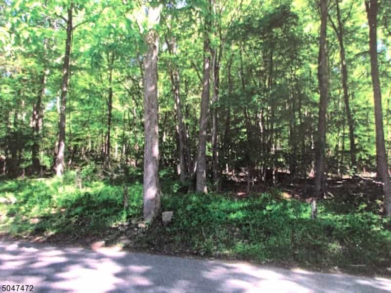 Land in Mendham Twp., New Jersey 10069998