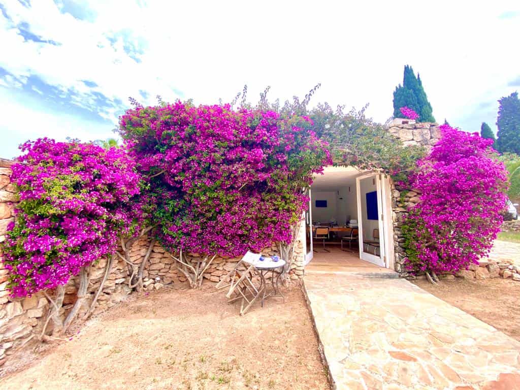 House in Ibiza, Balearic Islands 10070777