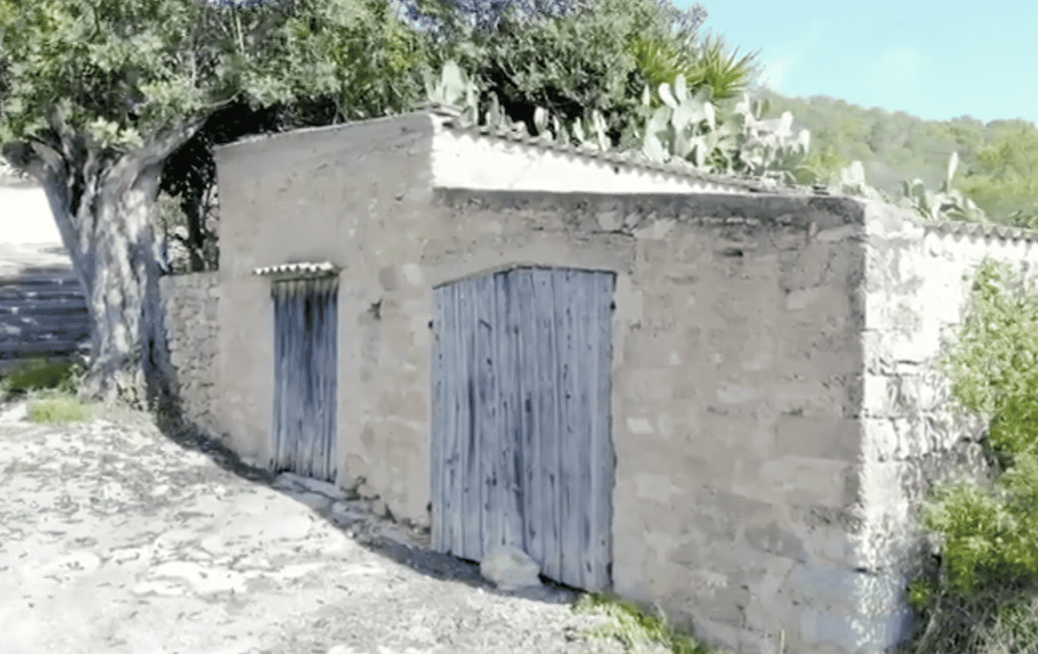House in San Carlos, Balearic Islands 10070803