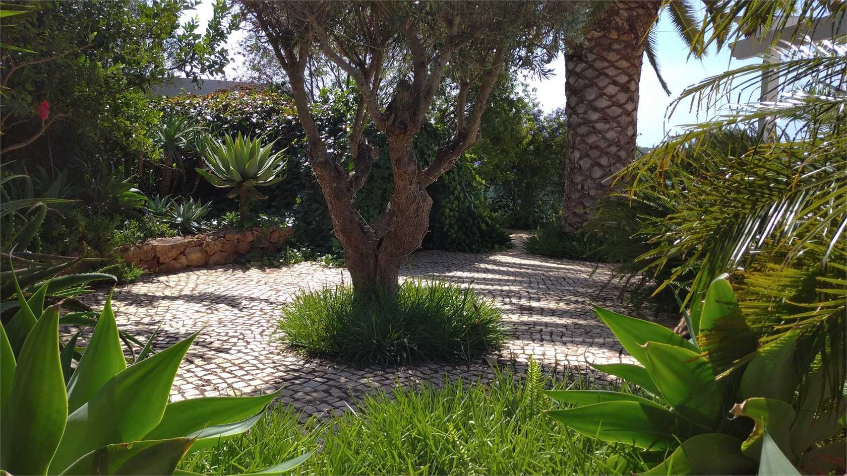 Condominium dans Alcantarilha, Algarve 10071407