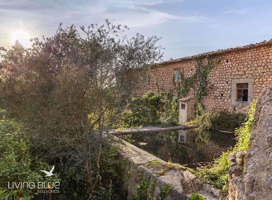 House in Biniaraix, Mallorca 10071515
