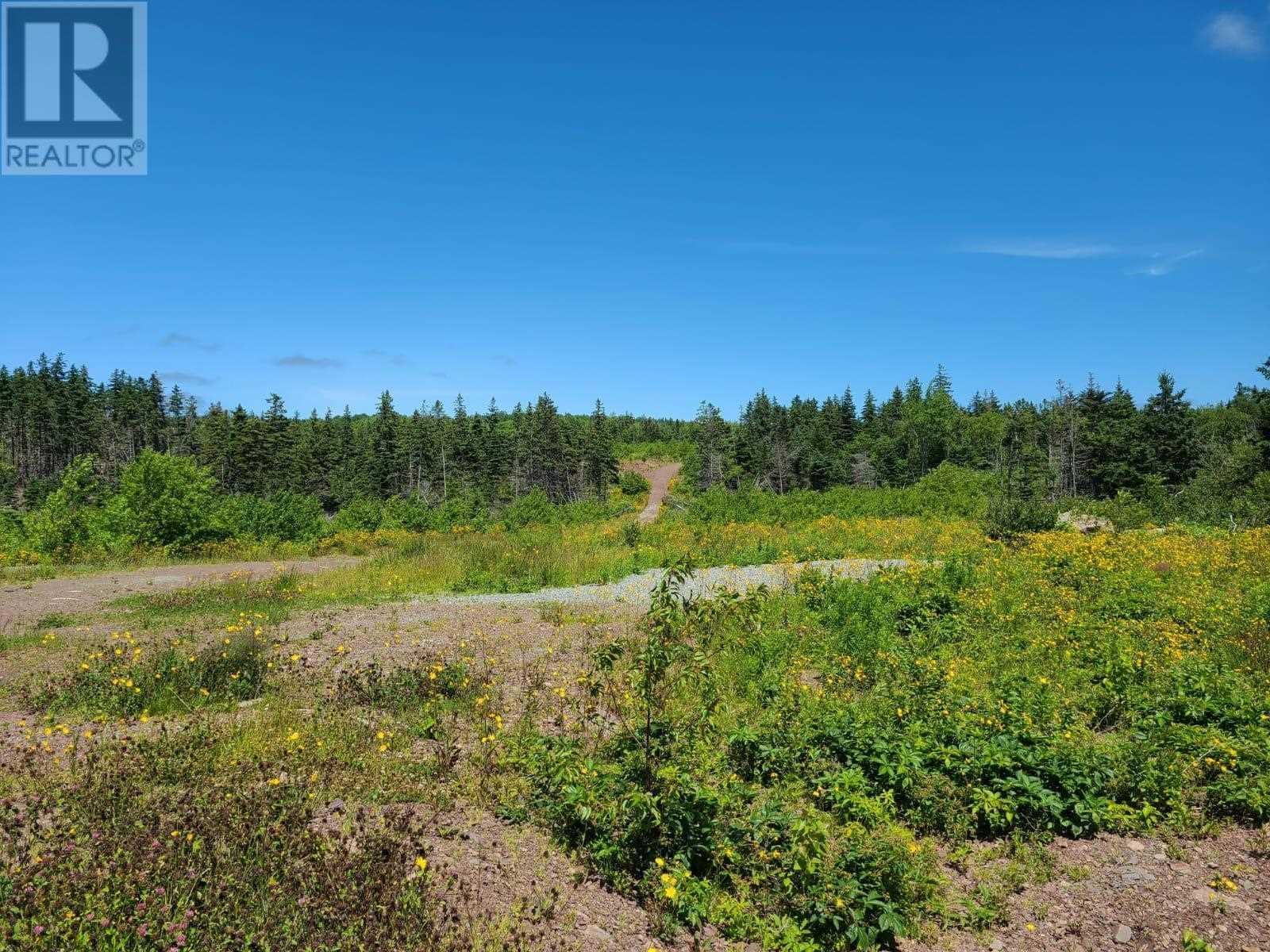 Tanah di Mulgrave, Nova Scotia 10078785