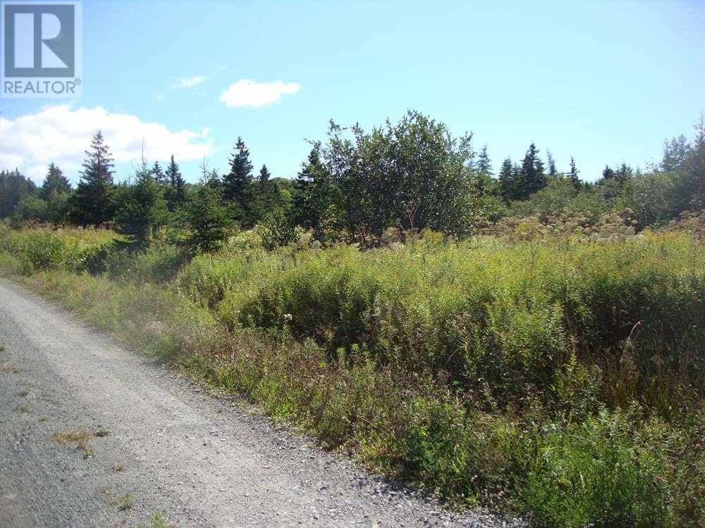 Land in St. Peter's, Nova Scotia 10078823