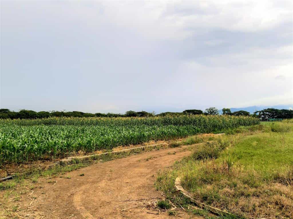Tanah di Cauguya, Valle del Cauca 10080972