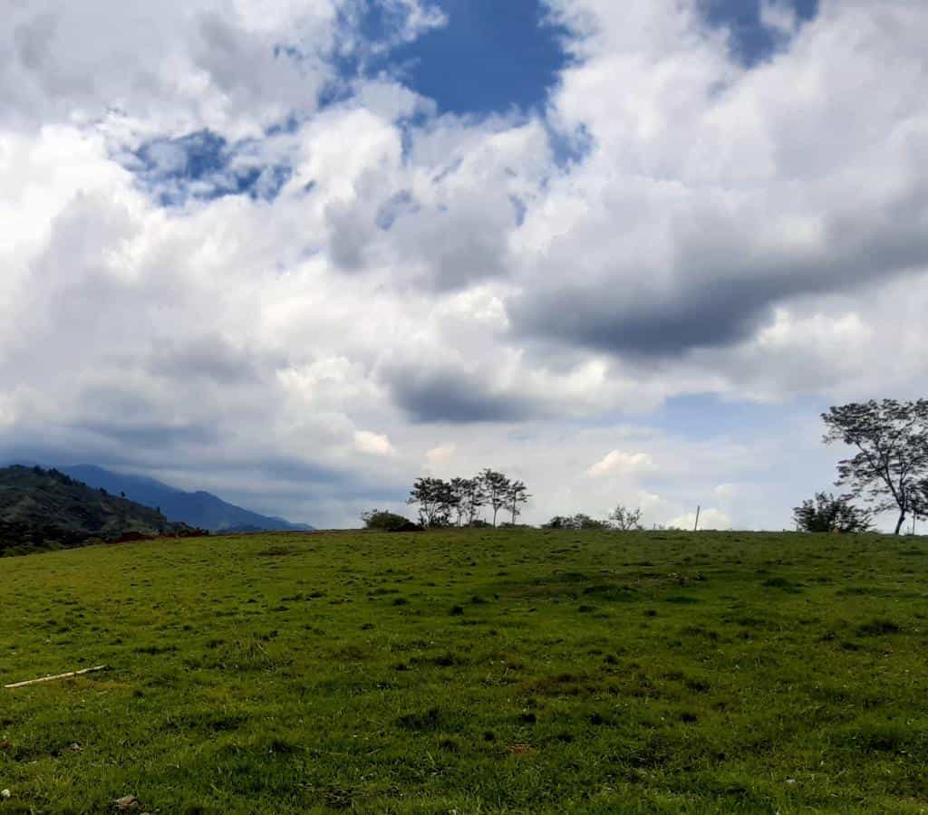 Terra no Tienda Nueva, Valle del Cauca 10080982