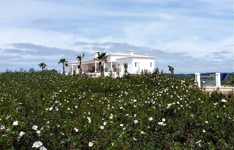 Hus i Mexilhoeira Grande, Faro 10082008