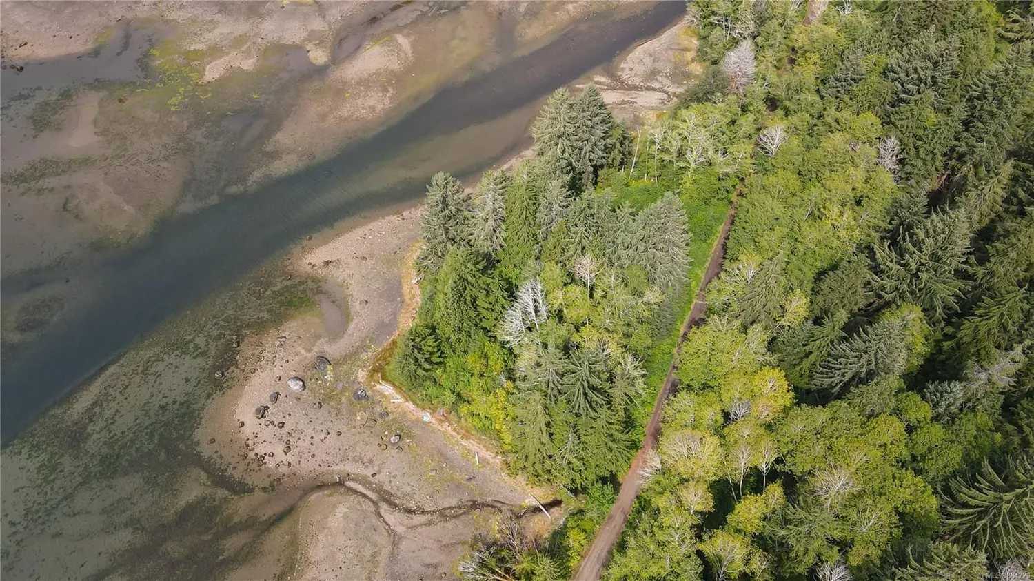 Terra no Port Hardy, British Columbia 10082624