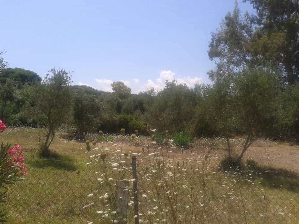 Tanah di Zakynthos, Zakinthos 10086580