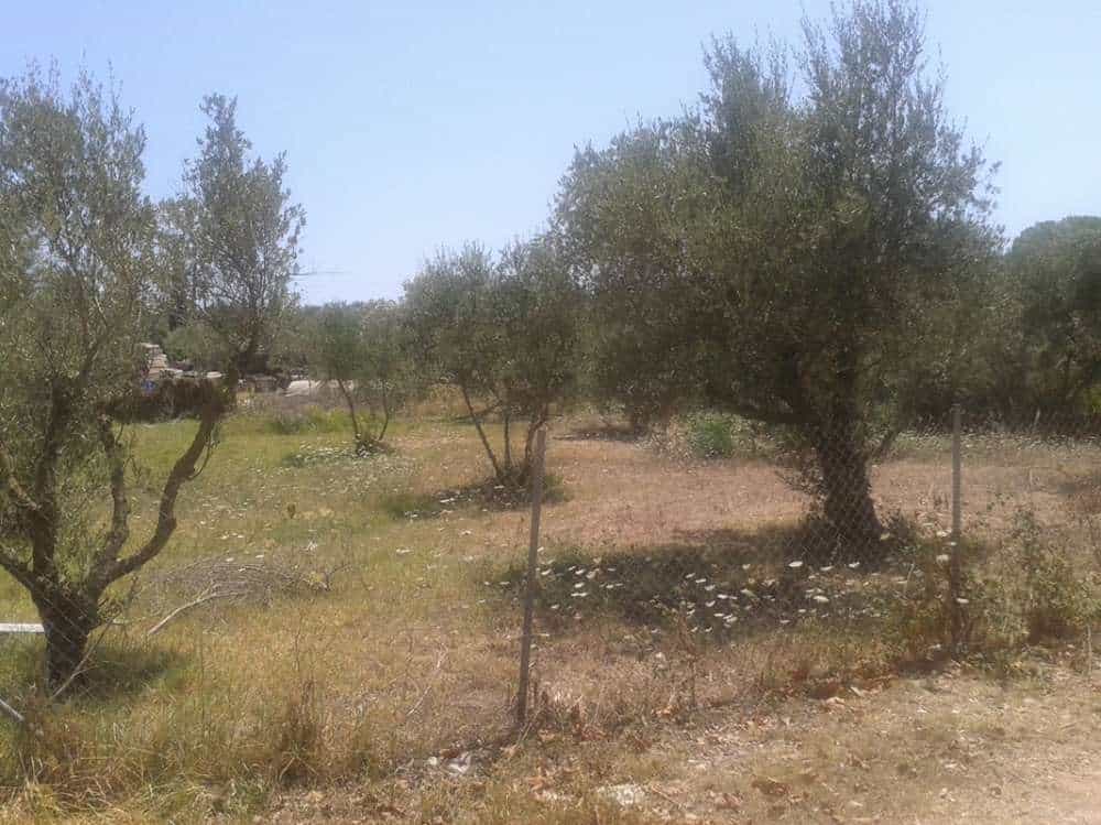 Tanah dalam Kalipado, Ionia Nisia 10086580