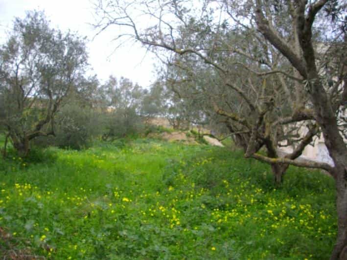 Land in Kipseli, Zakinthos 10086759