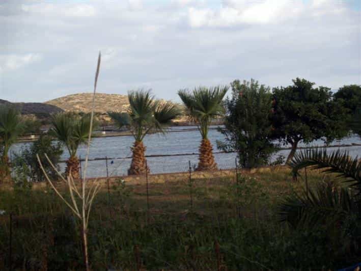 Land in Atsimpraga, Kriti 10086764