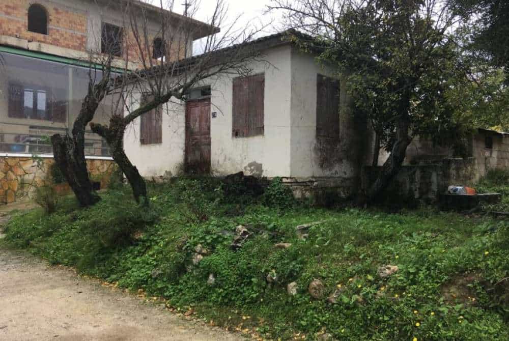 Hus i Bochali, Ionia Nisia 10086843